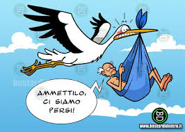 cicogna smarrita